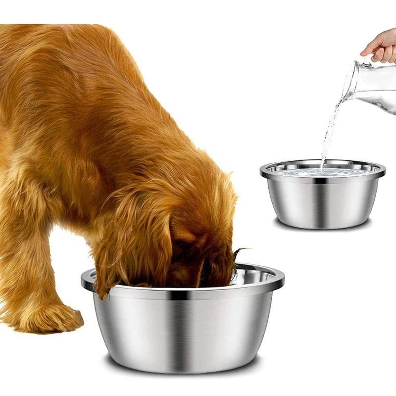 Royal Canin Food Medium - 스테인레스 스틸 개 피더, 소형 중형