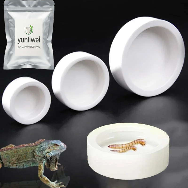 Water Dish Reptile - 파충류 먹이 그릇, 탈출 방지 세라믹