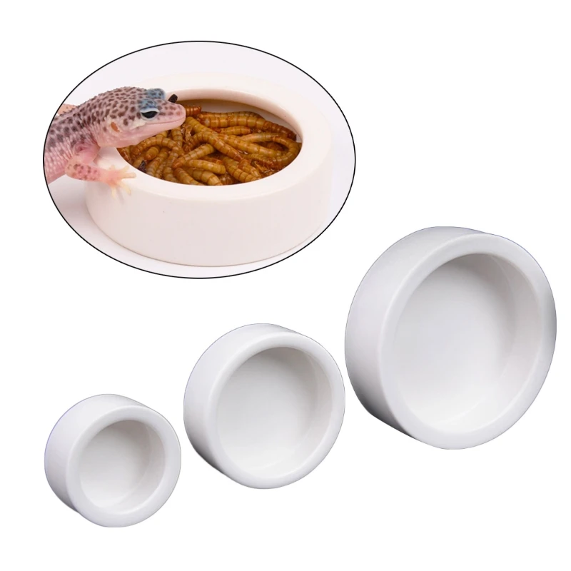 파충류 먹이 그릇, 탈출 방지 세라믹 급식기, 헤어미트 - Water Dish Reptile 리뷰 및 가격